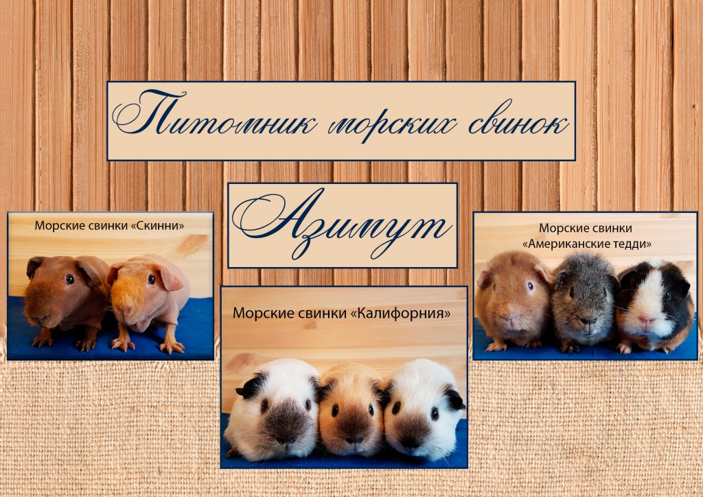 Азимут-половина-1.jpg