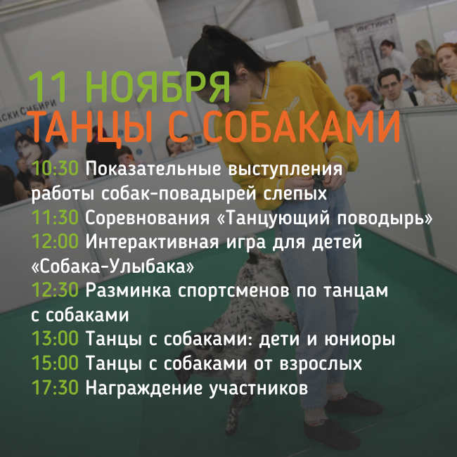 Танцы с собаками.png Танцы с собаками.png