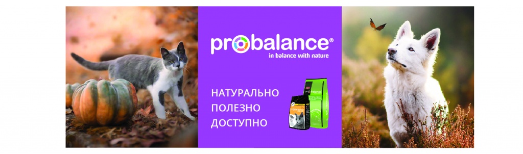 модуль соц сети.jpg